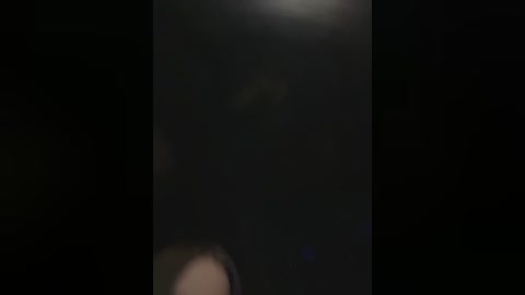 Media: This is a blurred video featuring a dark, possibly black, vertical object, possibly a tree or pole, against a black background. The image is dimly lit, with no discernible details.