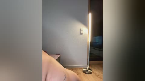 Media: Video of a dimly lit, sparsely furnished room with a tall, cylindrical lamp casting a warm glow. A person's upper torso is partially visible, and a white outlet is mounted on the gray wall.