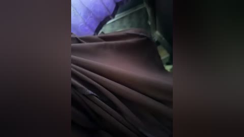 Media: Video of a wrinkled, brown fabric with a purple, textured background, creating a dimly lit, slightly blurred atmosphere with muted colors.