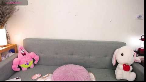 Media: Video of a light gray couch with a pink cushion, a pink star pillow, and a white plush dog. A white shelf holds a red lantern and a vase with dried flowers.