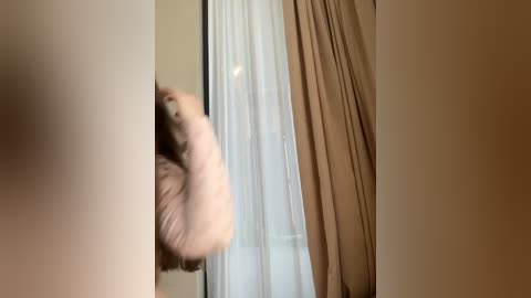 Media: Video of a fluffy white dog, possibly a poodle, scratching its ear against a beige wall, with a white curtain and beige drapes partially visible in the background.