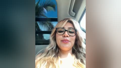 Media: Video of a light-skinned woman with long, wavy blonde hair, wearing black-framed glasses, and a light-colored top, seated in a car with a palm tree and blue sky visible through the window.