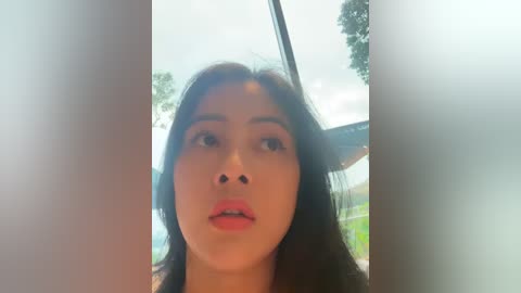 Media: A close-up video of a young Asian woman with long black hair, light skin, and dark eyes, wearing bright red lipstick, captured in a bright, natural setting.