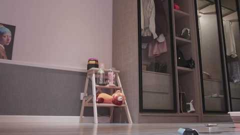 Media: Video of a minimalist, modern walk-in closet with light wood shelving, a small wooden step stool, and a plush toy.