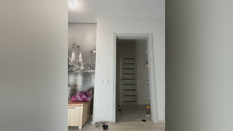 Media: Video of a minimalist, white-walled room with a wooden chest of drawers, a bed with a pink blanket, a silver cityscape mural, and a white door leading to another room.