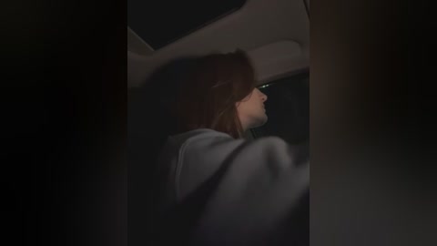 Media: A dimly lit video of a young woman with dark hair, wearing glasses, sitting in the driver's seat of a car. The background is dark, and the image is slightly blurred, emphasizing the somber atmosphere.