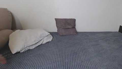 Media: Video of a corner of a room with a beige couch, a folded white pillow, and a gray and brown striped pillow on a blue and gray striped carpet. The wall is plain white.