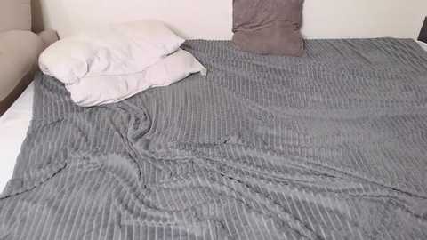 Media: A video of a neatly made bed with a gray pinstripe comforter, a white pillow, and a small gray pillow, set against a plain white wall.