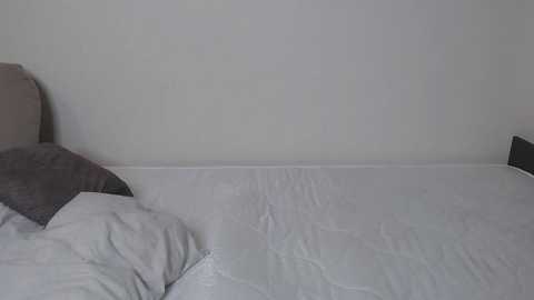 Media: Video of a minimalist bedroom with a plain white wall, a neatly made bed with white sheets, and a gray pillow. The scene is simple and uncluttered, emphasizing a serene, clean atmosphere.