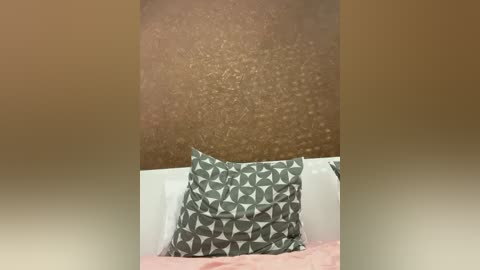 Media: Video of a bed with a white pillow and a green pillow with a geometric pattern against a textured brown wall. The bed has a pink blanket.