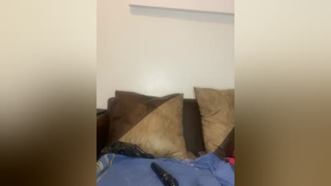 Media: Video of a messy bedroom with a brown couch covered in beige and brown pillows, blue sheets, and scattered clothes, including a black remote control. The room's walls are off-white.