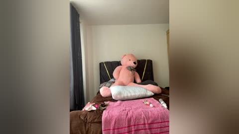 Media: Video of a cozy, dimly lit bedroom with a large, pink teddy bear on a bed covered in a brown blanket and a pink towel.