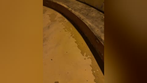 Media: A video of a murky, yellowish-brown pond water with a visible, dark, curved concrete edge. The water's surface is slightly rippled, suggesting minimal movement. The image has a warm, dim lighting, creating a mellow, almost eerie atmosphere.