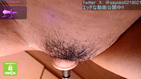 Media: A close-up video of a person's vulva, featuring a dark pubic hair patch, taken from a low angle with a watermark \"DMM\" in the corner.