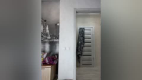 Media: A blurry video showing a narrow hallway with white walls and a partially visible wooden dresser. A black and white video of a cityscape hangs on the left wall.