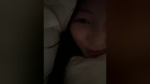 Media: A dimly lit video of a young Asian woman with long black hair, partially hidden under white bedding, with a soft, contemplative expression.