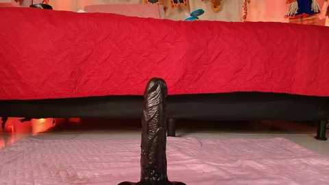 Media: Video of a black dildo with detailed veins, resting on a pink blanket in a room with a red bedspread and colorful decor.