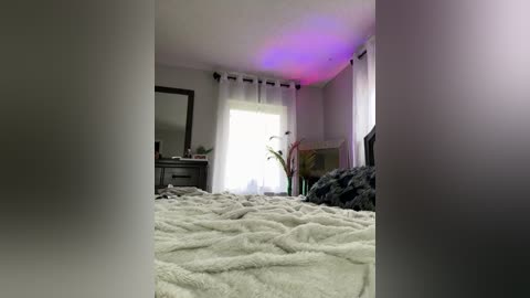 Media: Video of a cozy bedroom with a fluffy white comforter, dark furniture, white curtains, and a pink LED light strip on the ceiling.