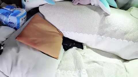 Media: Video of a cluttered bed with a beige pillow, a white blanket with lace trim, a brown leather case, and a white and blue package.