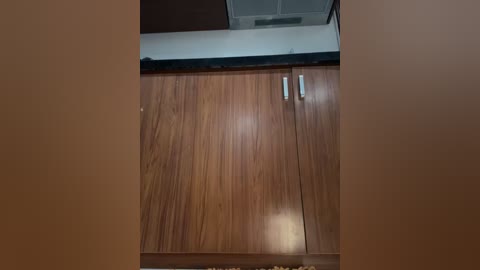 Media: Video of a modern kitchen with wooden cabinets and stainless steel handles, viewed from the floor. The image is centered on the cabinets, with a dark countertop above and a white ceiling visible.