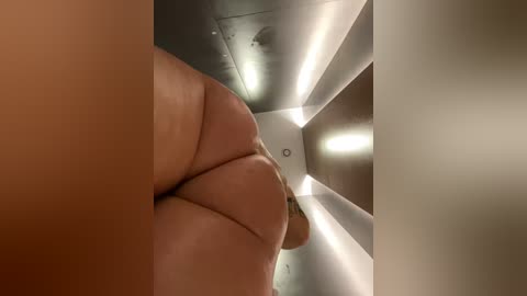 Media: A close-up video of a person's large, round buttocks, captured from a low angle, in a dimly lit, modern hallway with metallic walls and recessed lighting.