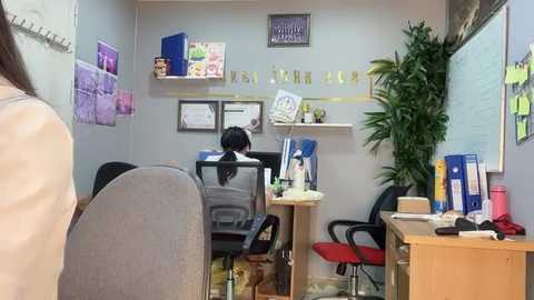 Media: Video of a small, tidy office with a wooden desk, black chairs, a plant, and framed certificates on light blue walls.