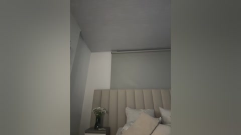 Media: A video of a minimalist, modern bedroom with a beige upholstered headboard, white pillows, a vase of white flowers on a nightstand, and a grey window blind partially drawn.