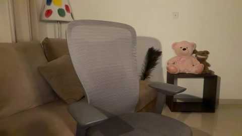 Media: Video of a beige sofa with a gray mesh chair, a small black table with a stuffed teddy bear and a polka-dot lampshade, and a fluffy brown pillow.