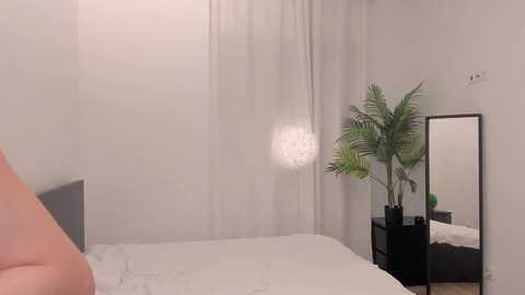 Media: Video of a minimalist bedroom with a white bed, a green potted palm tree, a black rectangular nightstand, and a small mirror on the white wall.