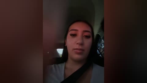 Media: A video of a young woman with medium skin tone and dark hair, wearing a gray shirt, sitting in a car with a black seatbelt, dim lighting, and blurred side windows.