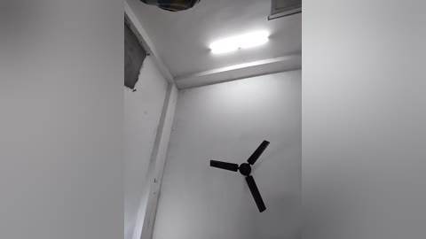 Media: Video of a small, dimly lit room with white walls, a ceiling fan with three blades, and a fluorescent light. The room has a narrow, rectangular shape with a gray towel hanging on the left wall.