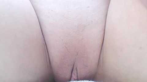 Media: A close-up video of a shaved vulva with light skin, showing natural body hair and pubic area details.