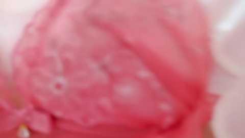 Media: A blurry video featuring a close-up of a pink, textured object, possibly a piece of meat or a slice of fruit, with indistinct edges and unclear details.