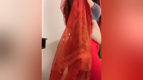 Media: Video of a woman in a red sari, holding a matching sari, revealing her midriff and red pants. She stands in a brightly lit room with white walls and a red door.