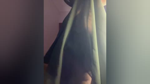 Media: A video of a partially obscured person standing in a dimly lit room, with a green towel covering their lower body, revealing a hint of their bare back and side.