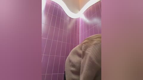 Media: Video of a small, narrow bathroom with purple tiled walls and a white ceiling light. A person wearing a beige sweater is partially visible, suggesting a cramped space.