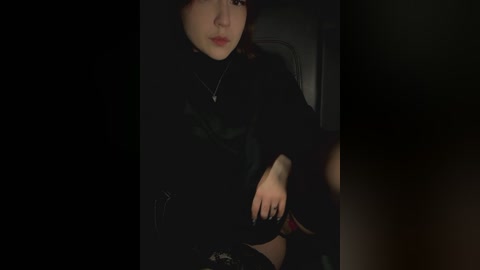 Media: A dimly lit video of a young Asian woman with light skin and shoulder-length brown hair, wearing a black turtleneck, sitting in a dark car.