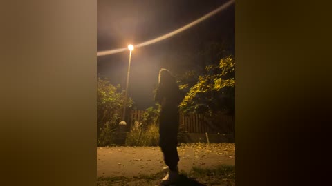 Media: Video of a silhouette of a person in dark clothing, standing on a grassy area, bathed in a warm, golden glow from a streetlight, with dense foliage and a wooden fence in the background.