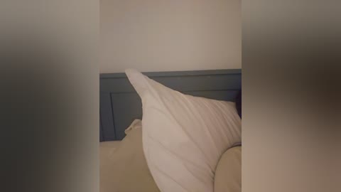 Media: Video of a white pillow on a beige bed, partially covered by a gray duvet, in a dimly lit, minimalist bedroom with cream walls.