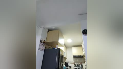 Media: Video of a narrow, cluttered kitchen with beige walls, a large refrigerator, a small sink, and hanging utensils, featuring a dimly lit, cramped space with a box on a white cabinet.