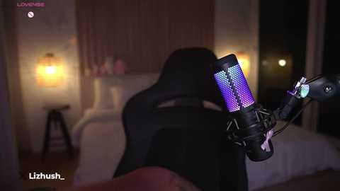 Media: A video shows a dimly-lit bedroom with a black gaming chair, a purple webcam light, and a blurred bed. The image has a watermark \"Lizwish\" in the bottom left corner.