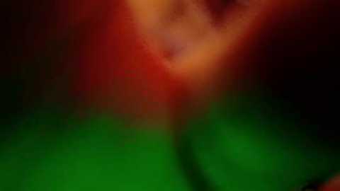 Media: A blurred video featuring a vibrant red flower with hints of yellow and green foliage, set against a dark, shadowy background. The image lacks distinct details, emphasizing an abstract, ethereal quality.