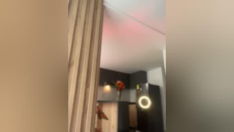 Media: A video showing a narrow, beige-framed mirror reflecting a modern, dimly lit room with black furniture, a round LED light, and a vase with red flowers. The background is soft, with a hint of pink lighting.