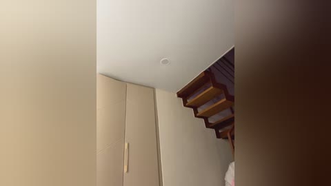 Media: Video of a minimalist, beige-walled hallway with a recessed wooden staircase and a small, round ceiling light fixture.