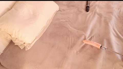 Media: A video shows a beige duvet with a cream-colored pillow, a wooden-handled knife on the bed, and a partially zipped zipper. The image has a soft, warm tone.