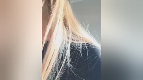 Media: Video of a woman's shoulder and head, showing her long, straight, platinum blonde hair cascading over a dark shirt. The background is a blurred, neutral-toned wall, with soft, natural lighting highlighting the hair's texture and movement.