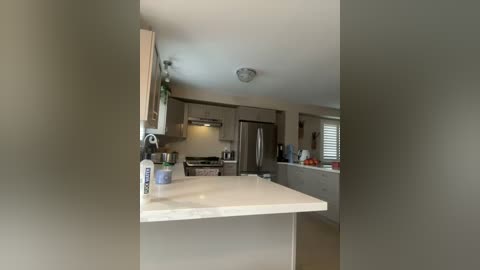 Media: A video of a modern, minimalist kitchen with white cabinets, stainless steel appliances, and a white countertop with a bottle of Dawn dish soap.