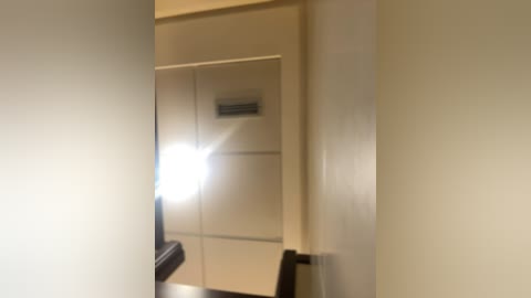 Media: Video of a dimly lit hallway with beige walls, a white recessed door, and a bright light source in the foreground, casting a strong reflection on the wall. The image appears slightly out of focus.