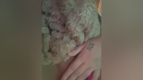 Media: A close-up video of a person with fair skin and a fluffy, light beige dog with a curly coat. The person's left hand, with a small tattoo reading \"NO,\" rests on the dog's back.