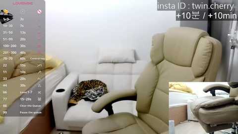 Media: Video of a modern, minimalist office room with beige leather executive chair, white sofa, and a leopard print pillow.